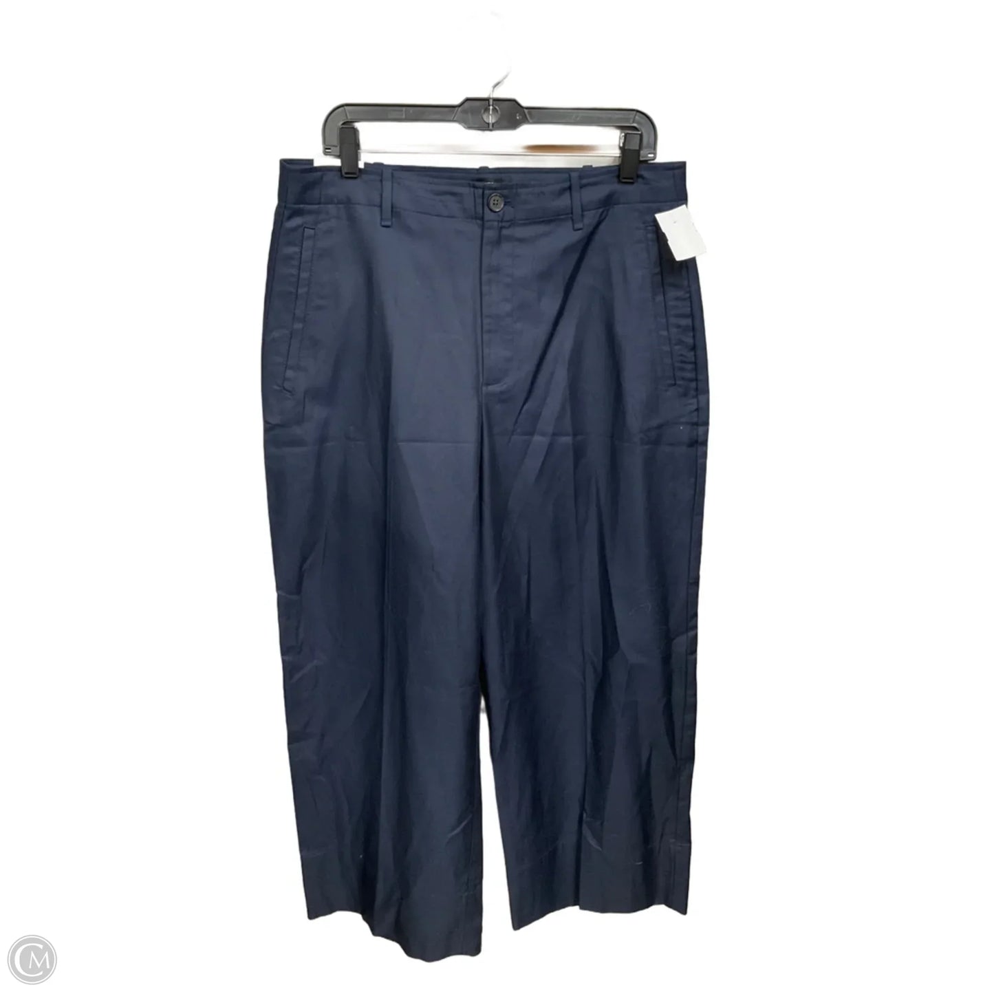 Pants Other By Banana Republic In Navy, Size: 12