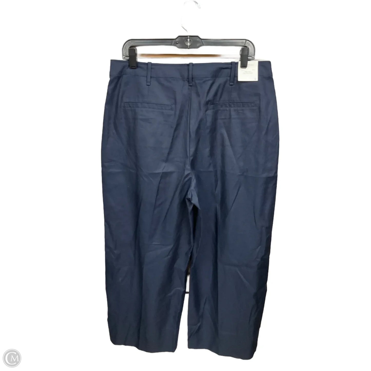 Pants Other By Banana Republic In Navy, Size: 12