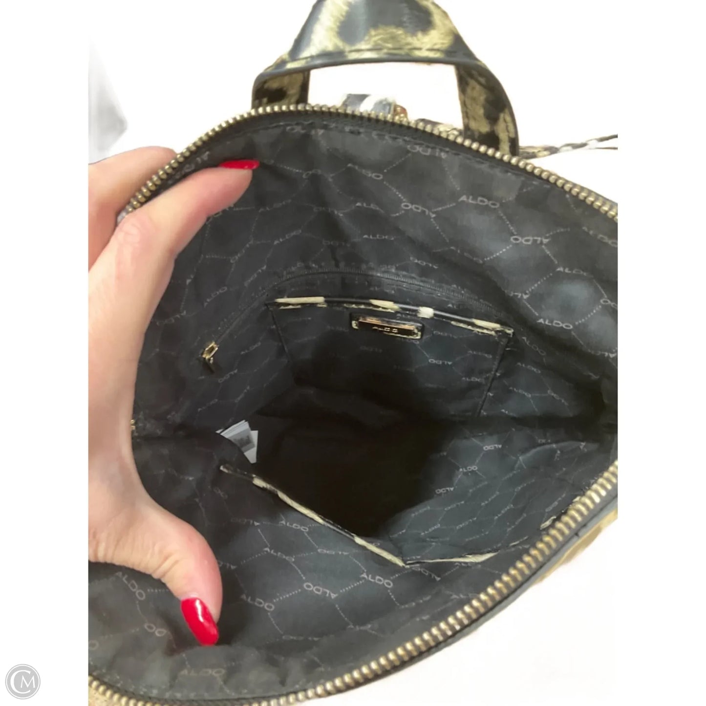 Backpack By Aldo, Size: Large