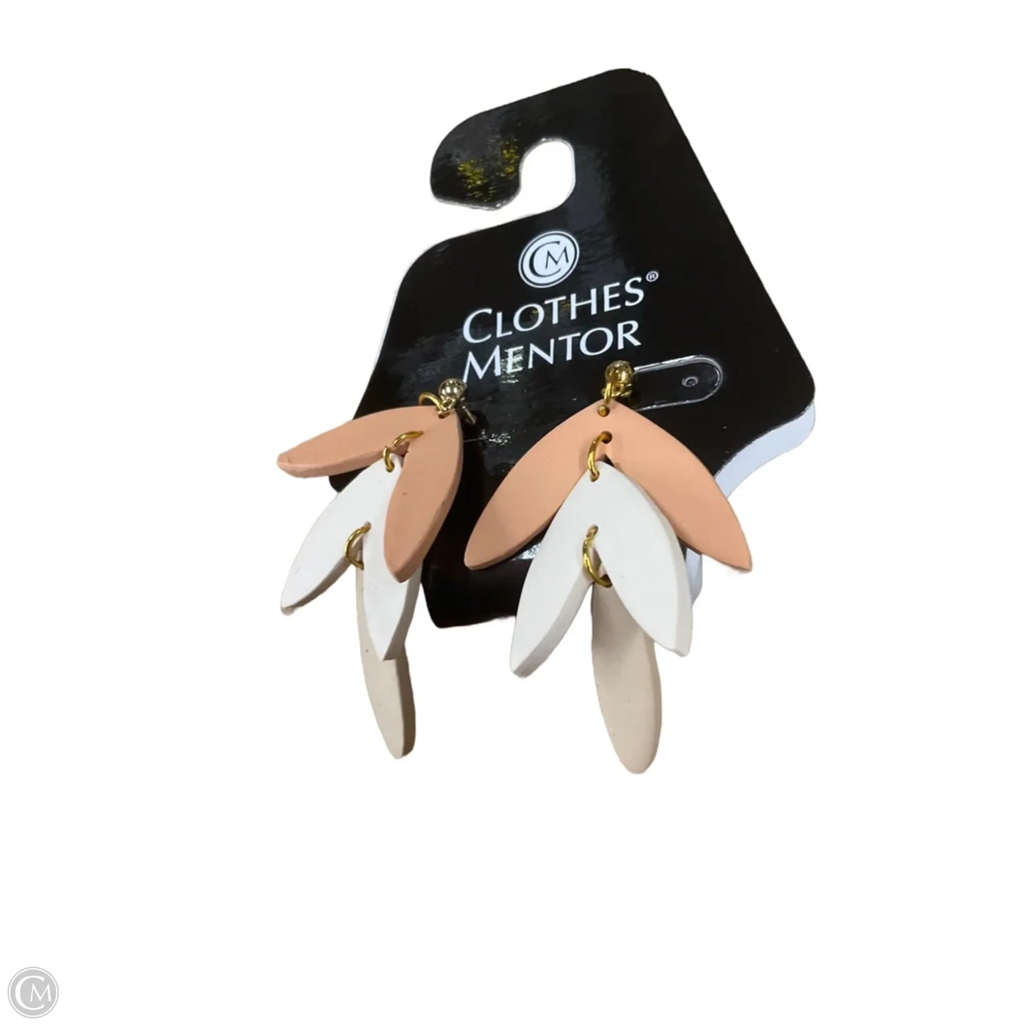 Earrings Dangle/drop By Clothes Mentor