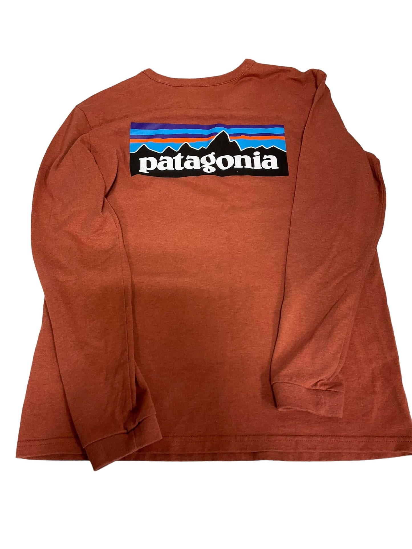 Clay Athletic Top Long Sleeve Collar Patagonia, Size Xs