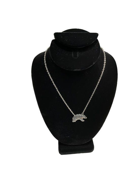 Silver Necklace Chain Clothes Mentor