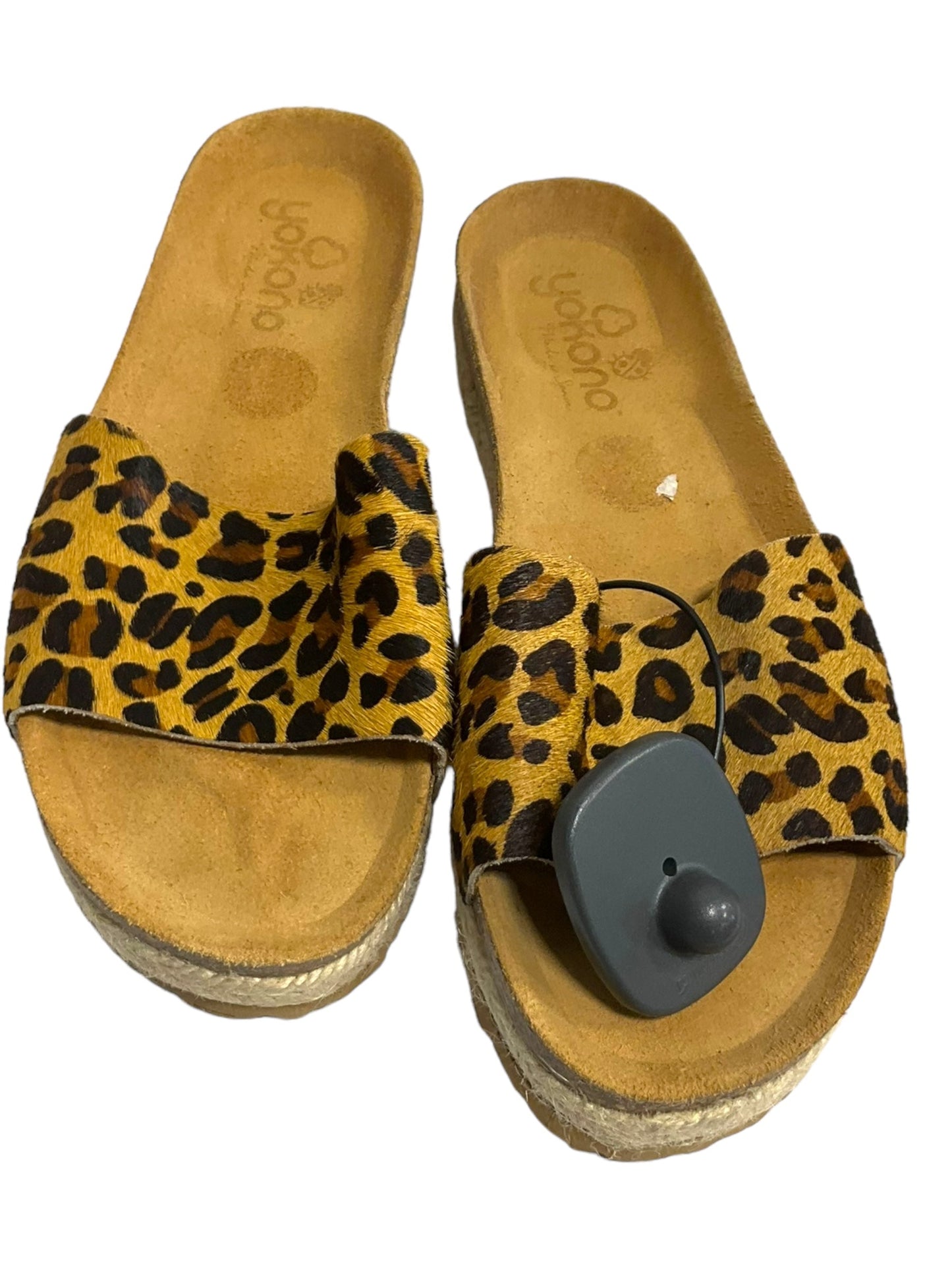 Animal Print Sandals Heels Platform Clothes Mentor, Size 8