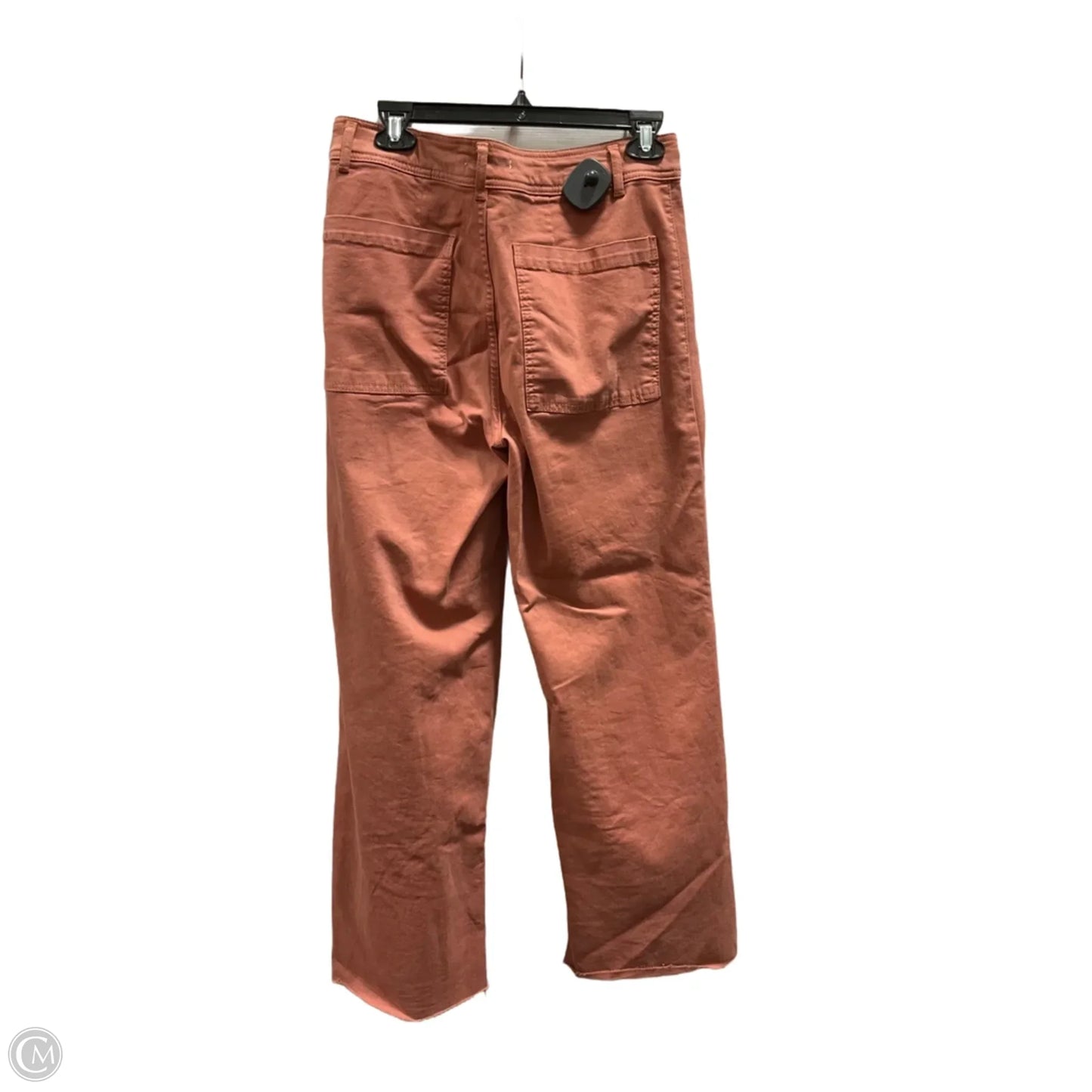 Pants Cargo & Utility By Oat In Pink, Size: 8