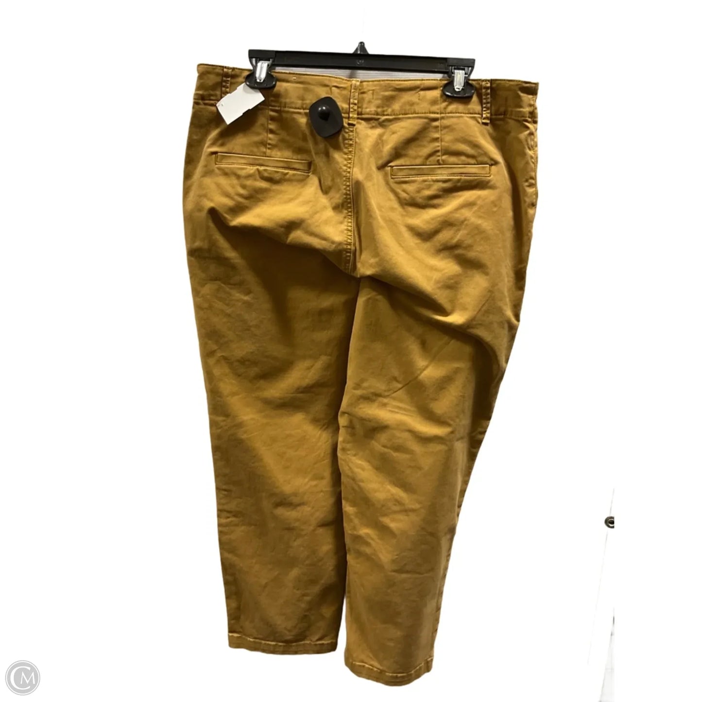 Pants Cargo & Utility By Loft In Tan, Size: 14