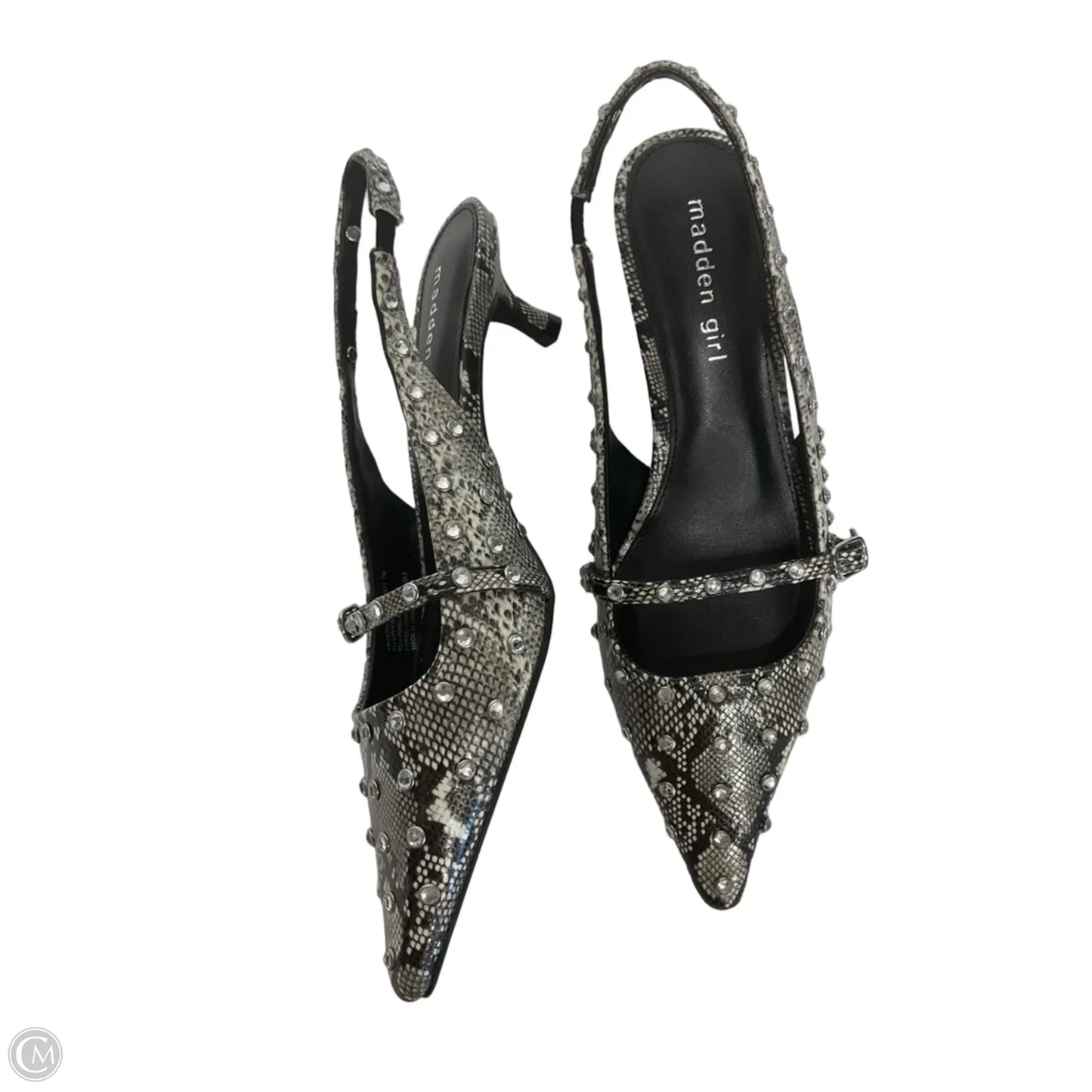 Shoes Heels Kitten By Madden Girl In Animal Print, Size: 6