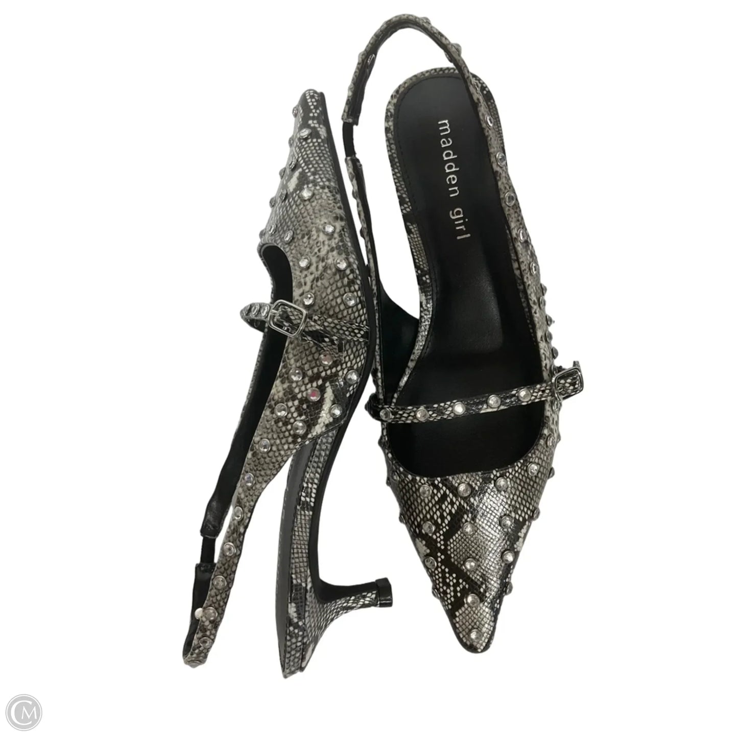 Shoes Heels Kitten By Madden Girl In Animal Print, Size: 6