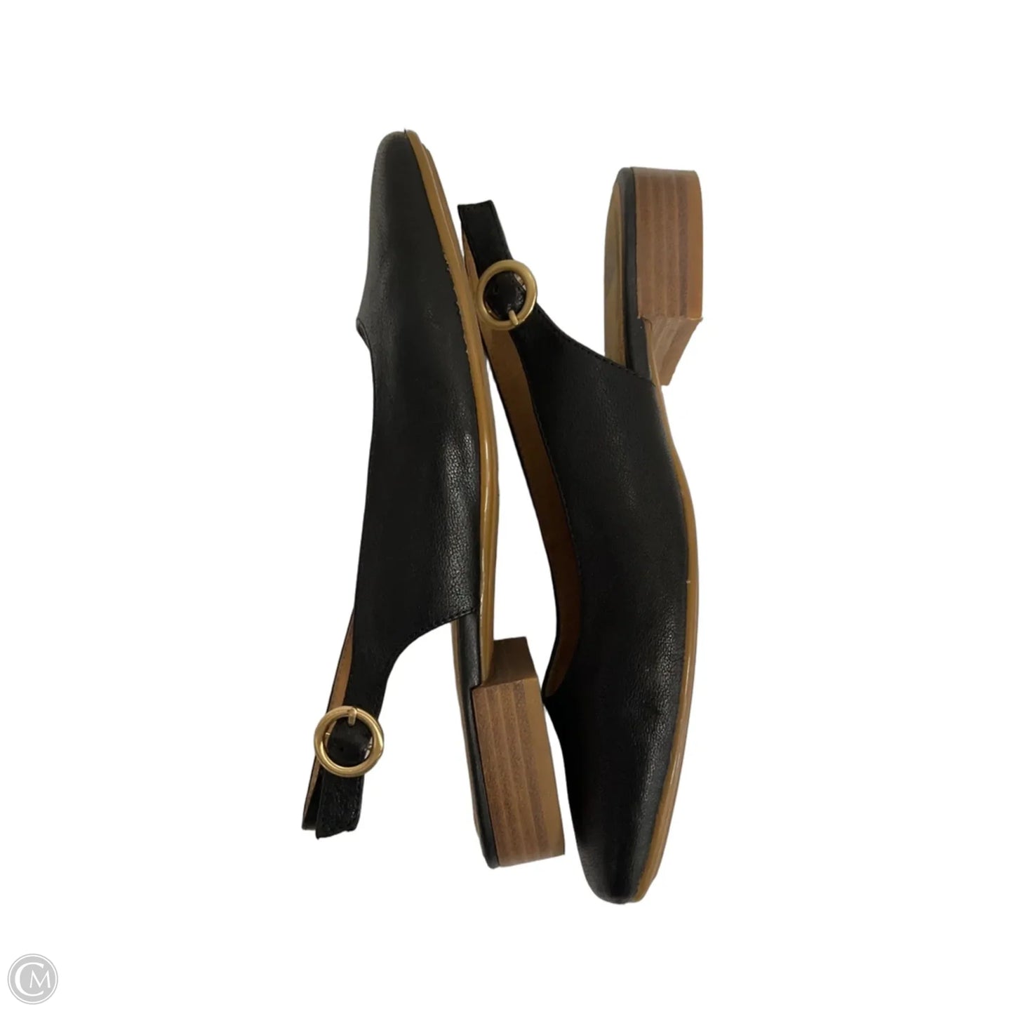 Shoes Flats By Sofft In Black, Size: 8.5