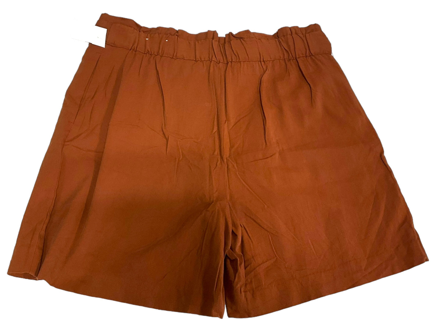 Orange Shorts Ann Taylor, Size 14