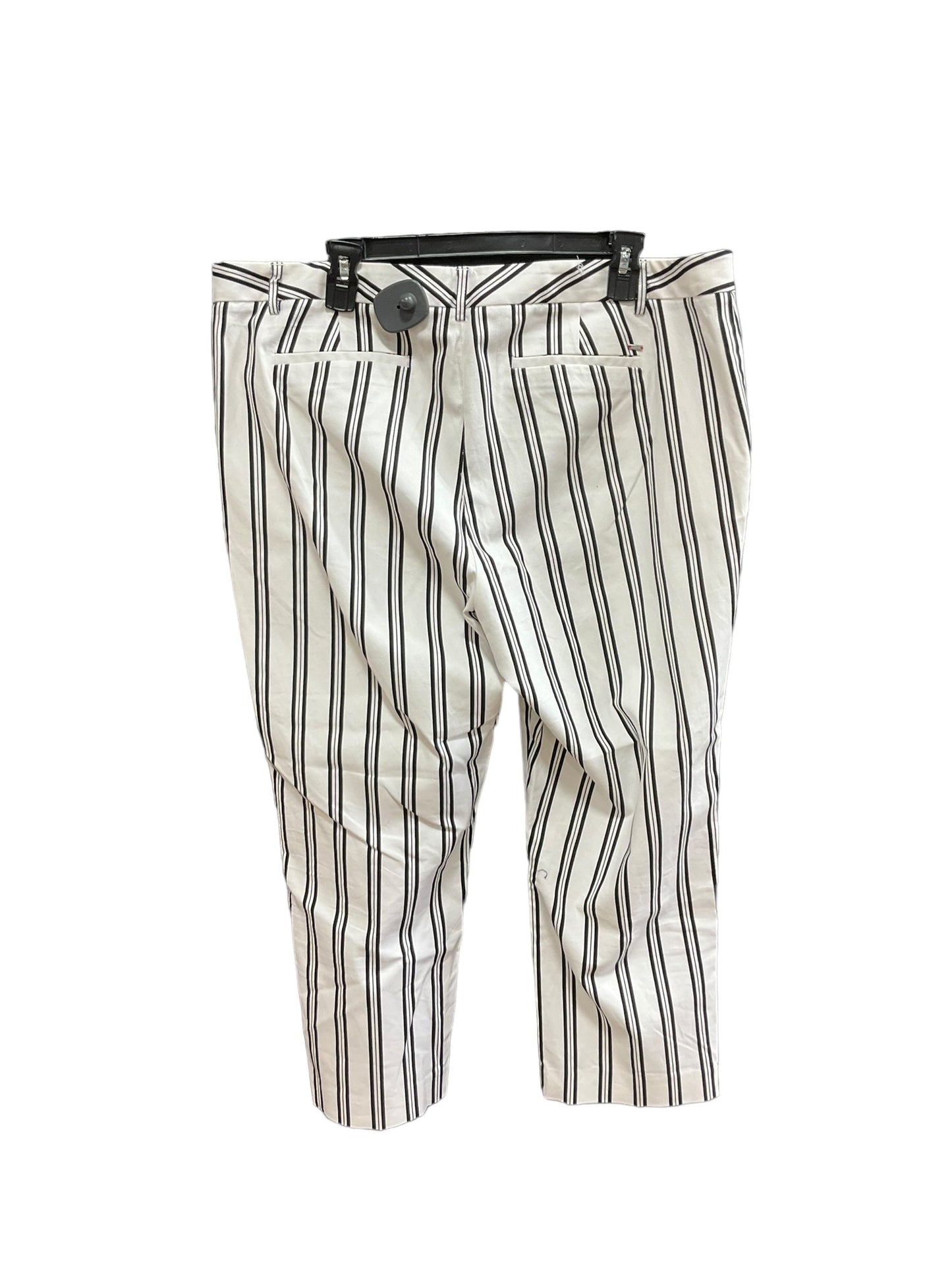 Striped Pattern Pants Cropped Tommy Hilfiger, Size 18