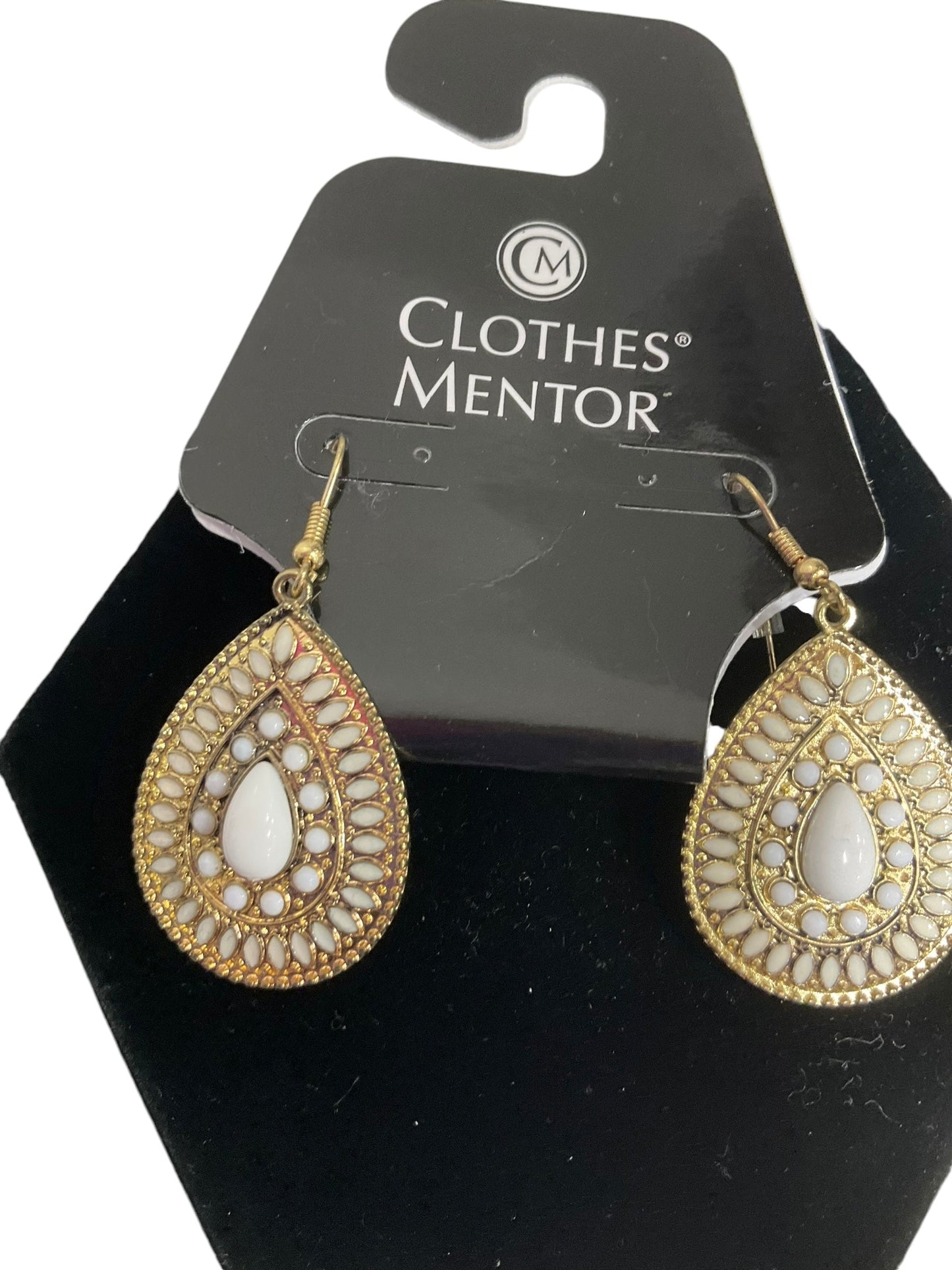 Earrings Dangle/drop By Clothes Mentor