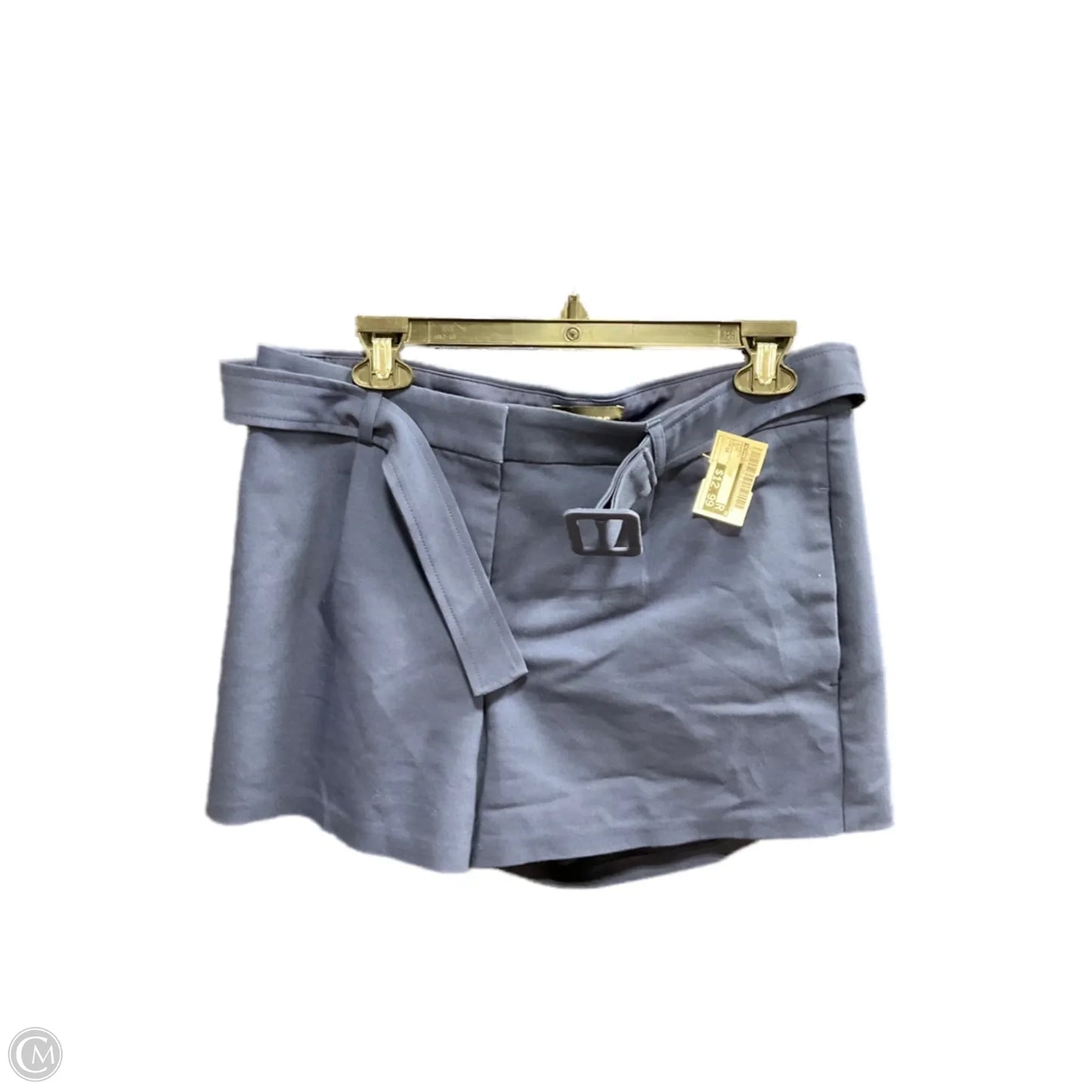 Shorts By Express In Blue, Size: 10