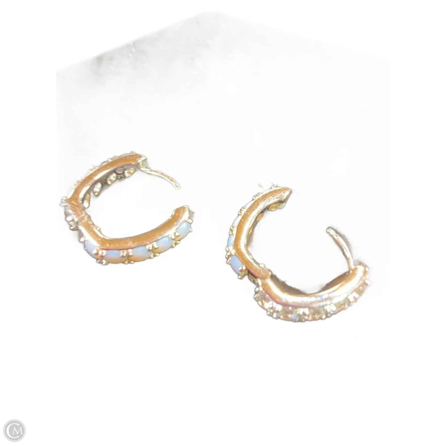 Earrings Hoop By Kendra Scott