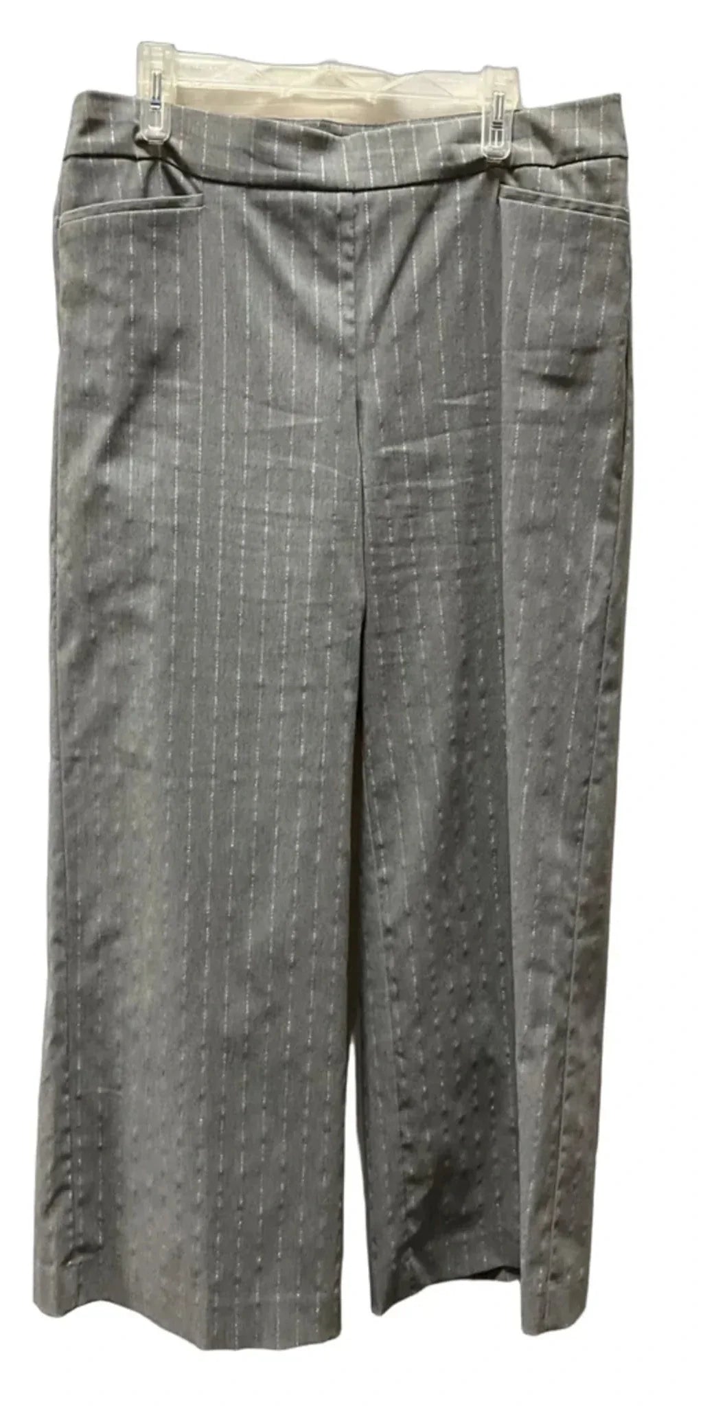 Pants Wide Leg By Chicos In Grey & Silver, Size: 14