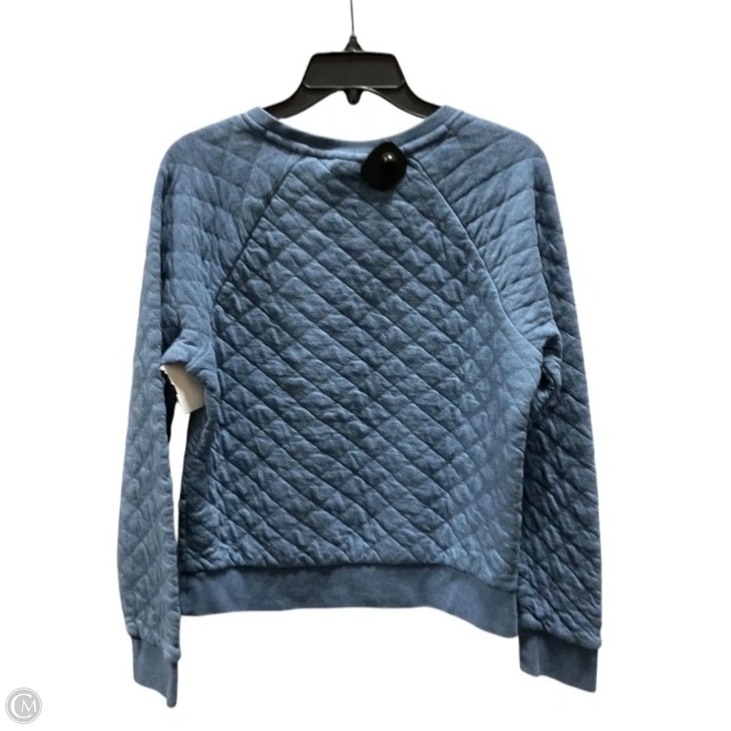 Sweatshirt Crewneck By Patagonia In Blue, Size: M