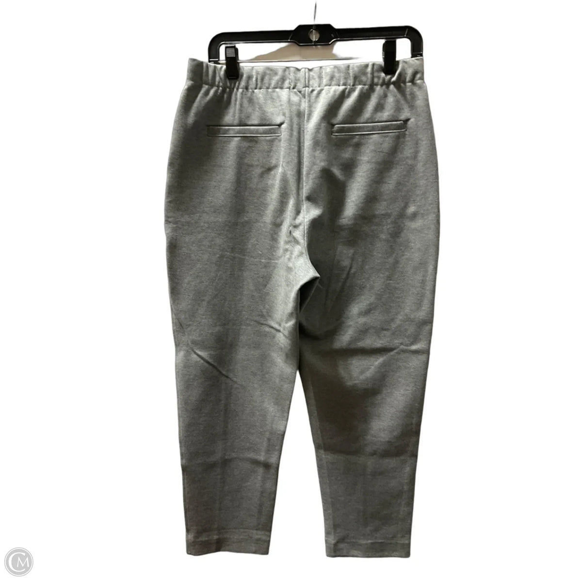 Pants Joggers By Everlane In Grey, Size: M