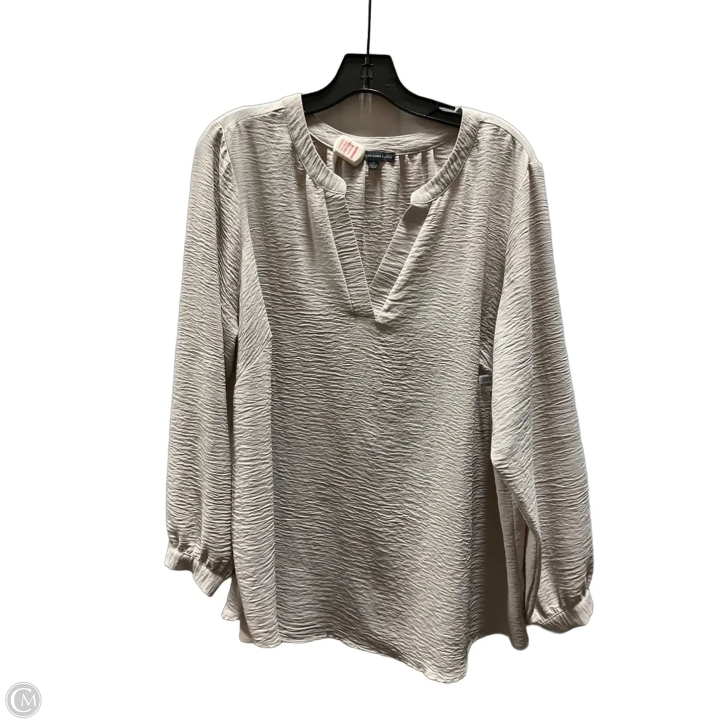Top Long Sleeve By Adrianna Papell In Beige, Size: 1x
