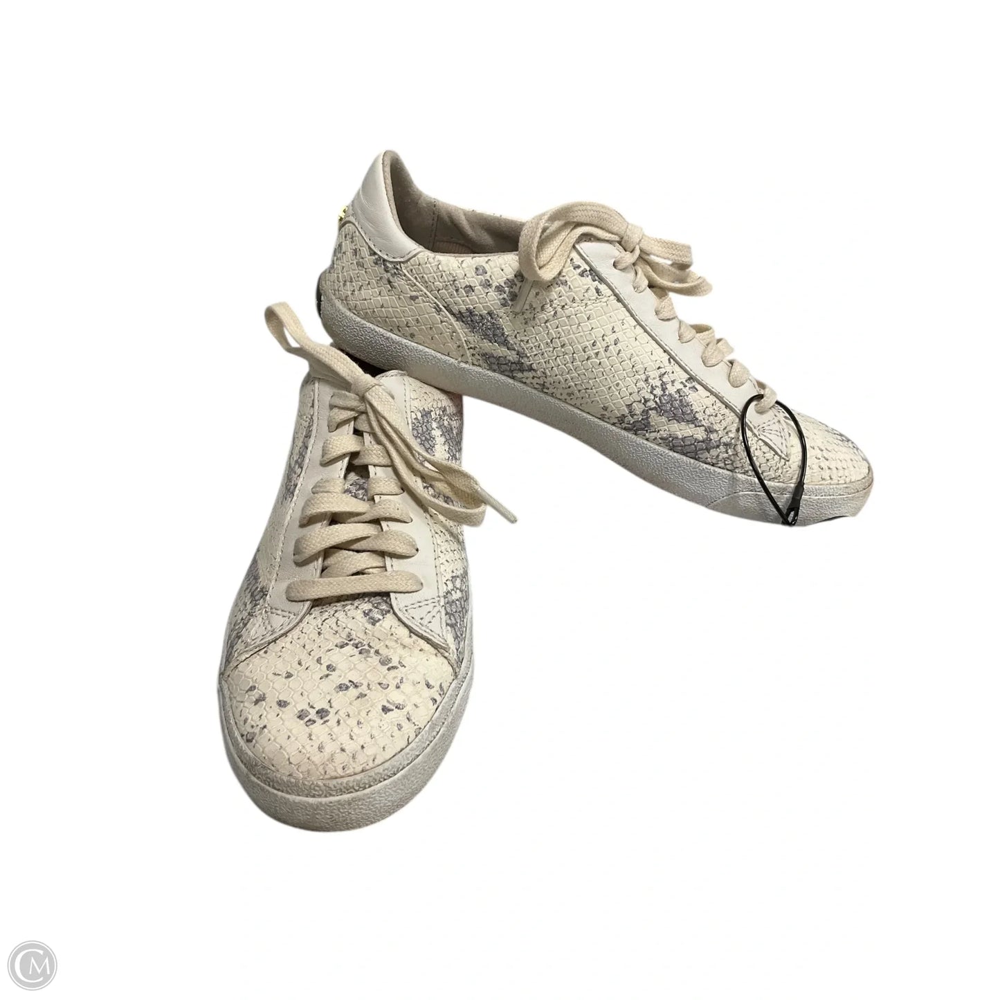 Shoes Sneakers By Cole-haan In Snakeskin Print, Size: 7