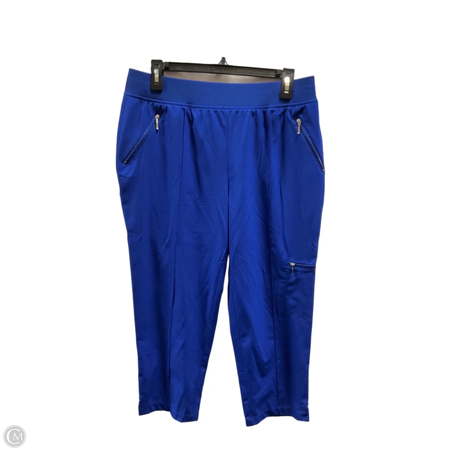 Athletic Capris By Zenergy By Chicos In Blue, Size: L