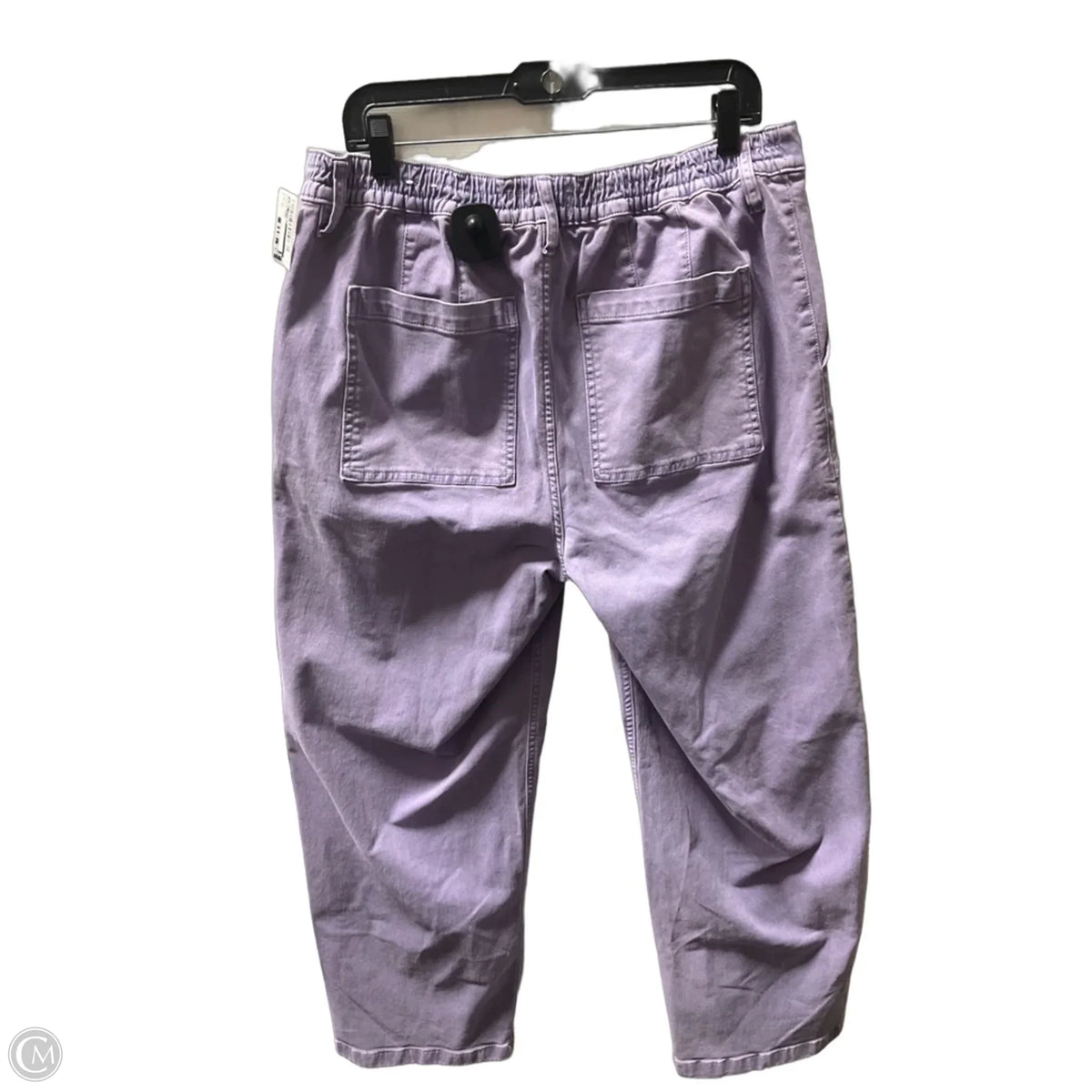 Jeans Boot Cut By Lane Bryant In Purple, Size: 14