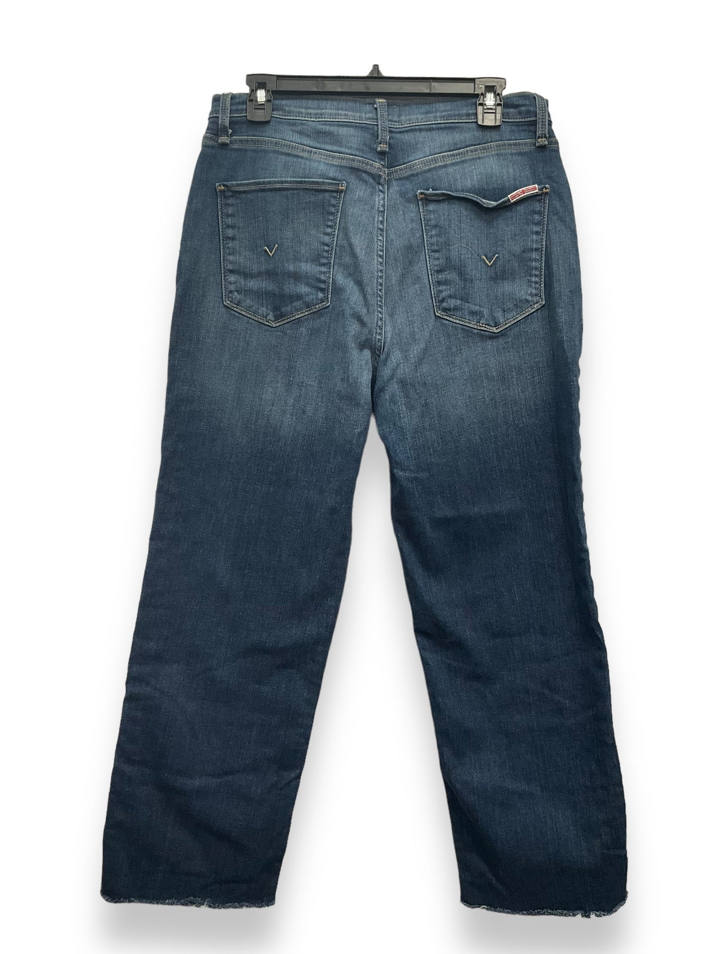 Blue Denim Jeans Straight Hudson, Size 10