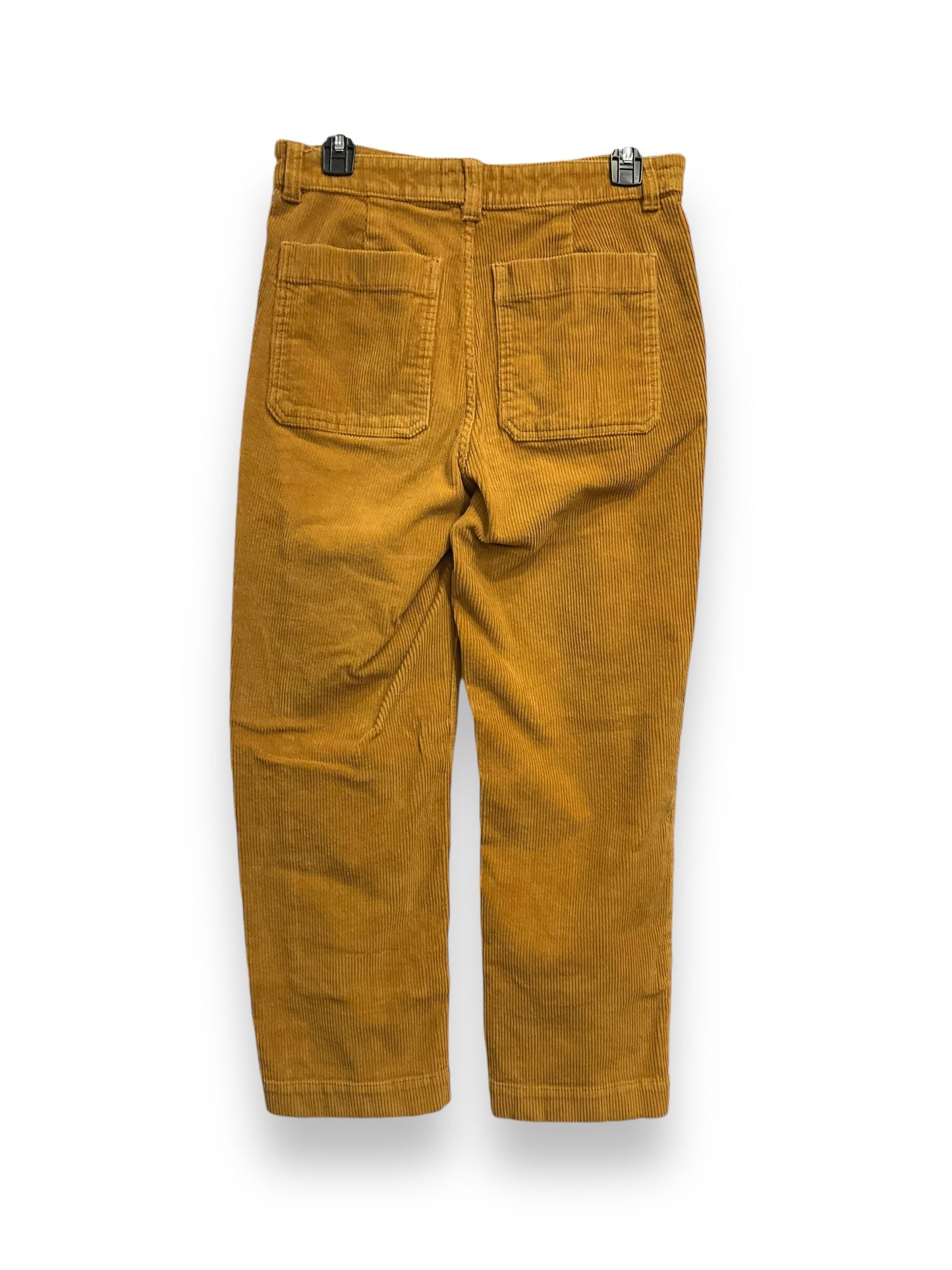 Pants Corduroy By Everlane In Yellow, Size: 4