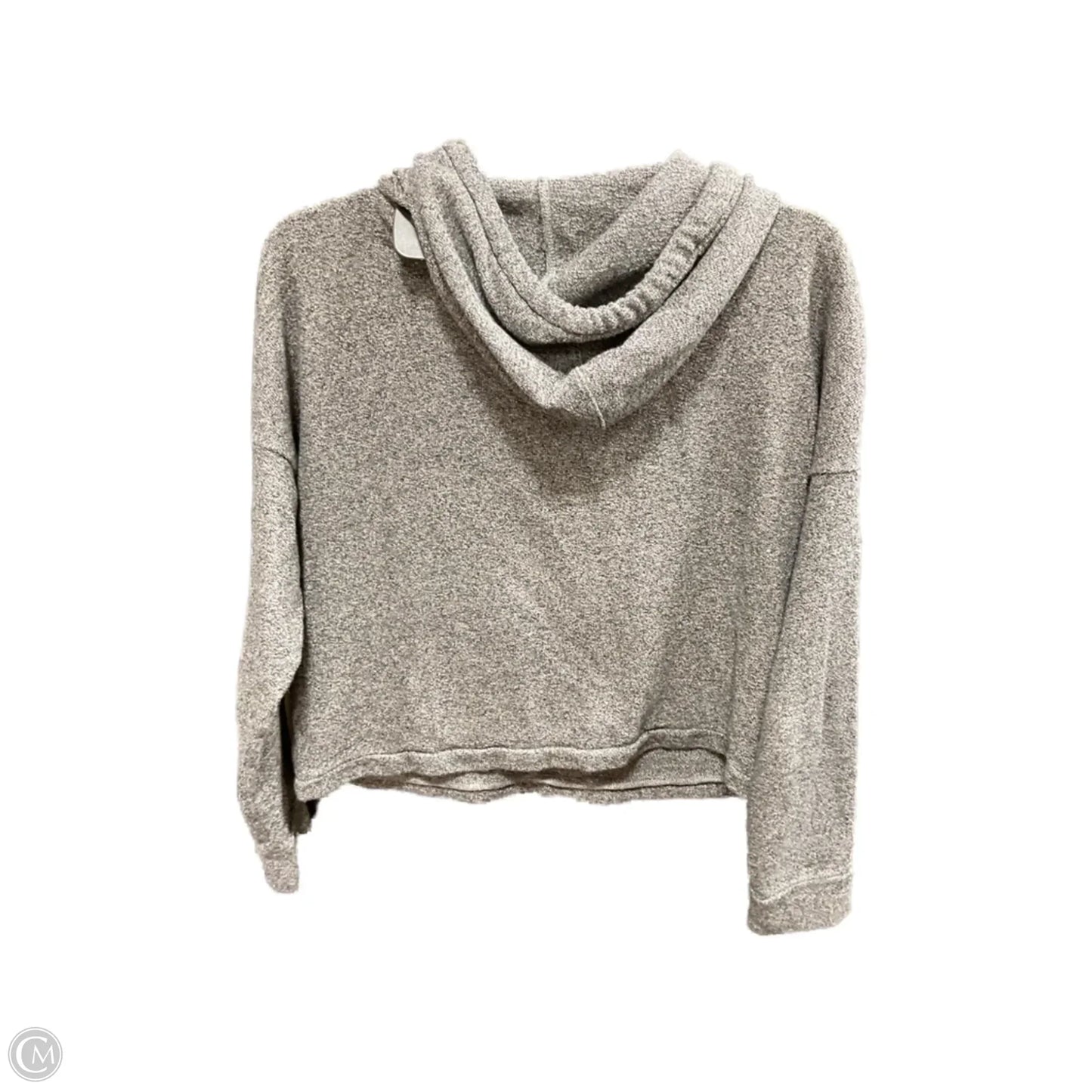 Sweatshirt Hoodie By Madewell In Grey, Size: Xs