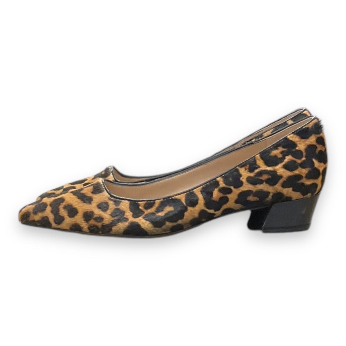 Shoes Heels Block By Franco Sarto In Animal Print, Size: 7