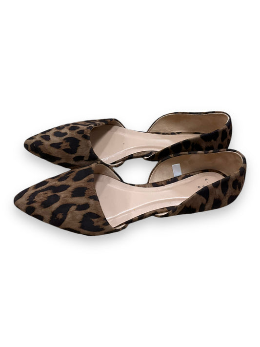 Shoes Flats By A New Day In Animal Print, Size: 8.5