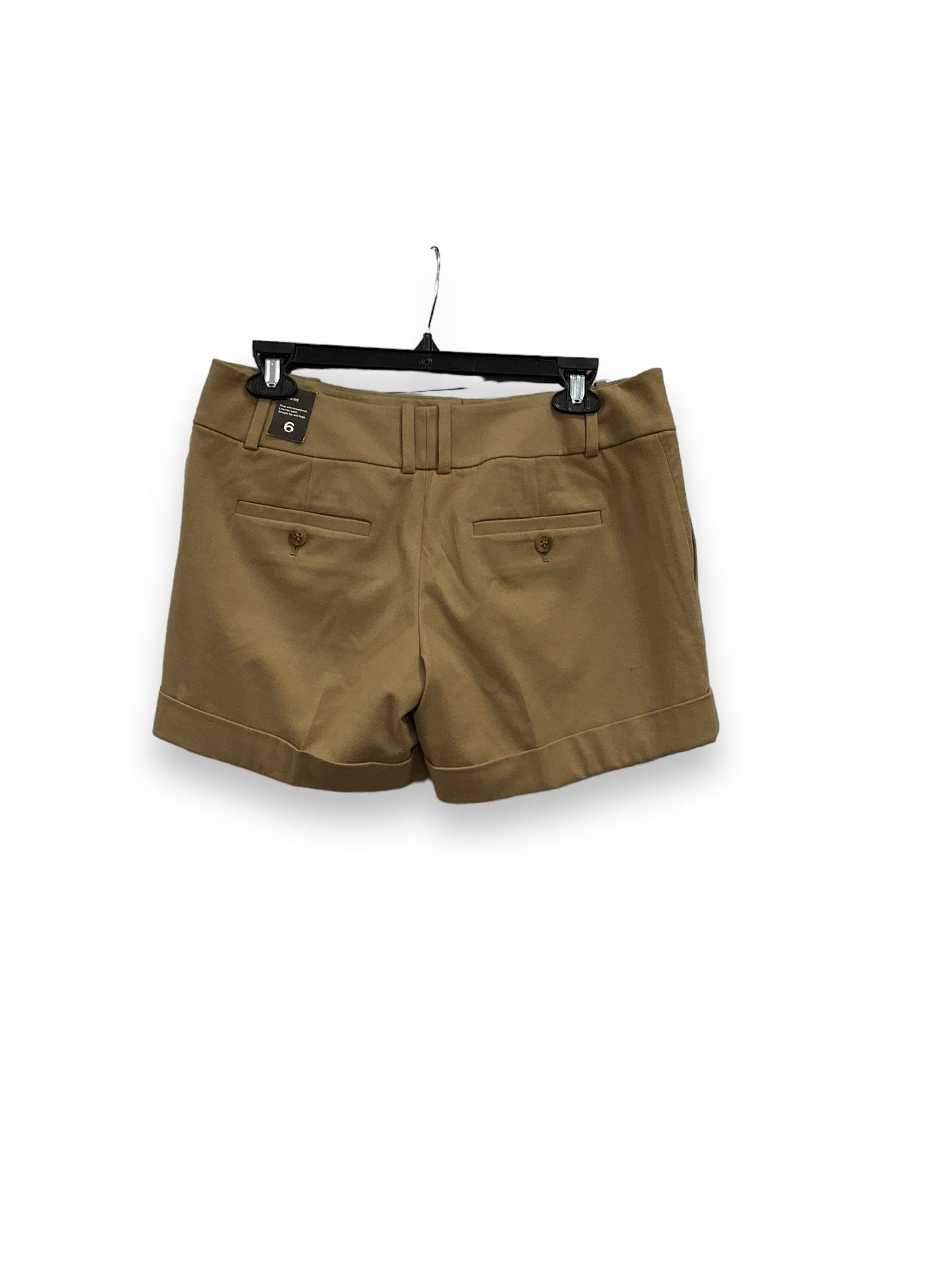 Shorts By Limited  Size: 6