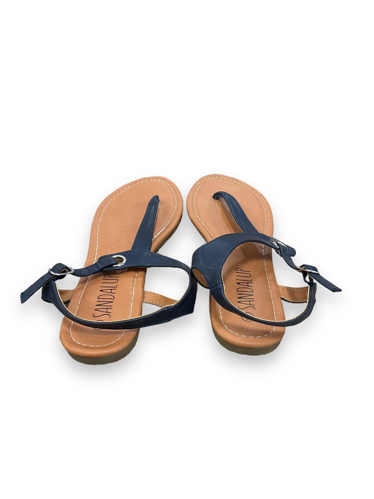 Blue & Brown Sandals Flats Clothes Mentor, Size 8