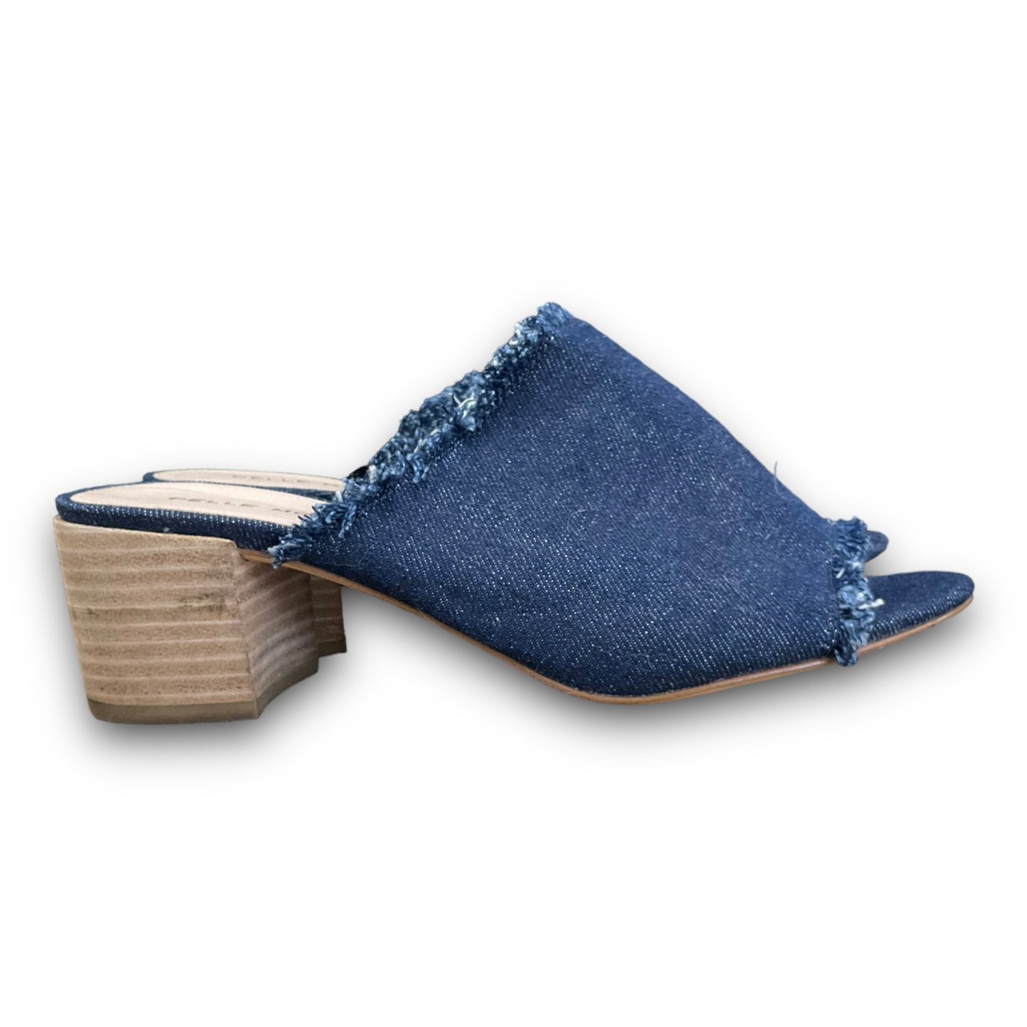 Blue Denim Shoes Heels Block Clothes Mentor, Size 8