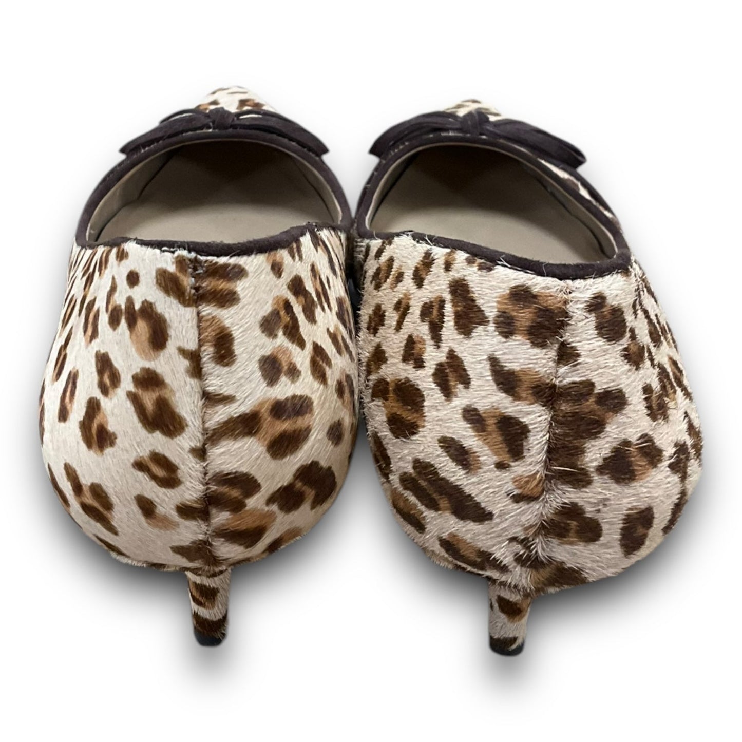 Shoes Heels Kitten By Ann Taylor In Animal Print, Size: 8.5