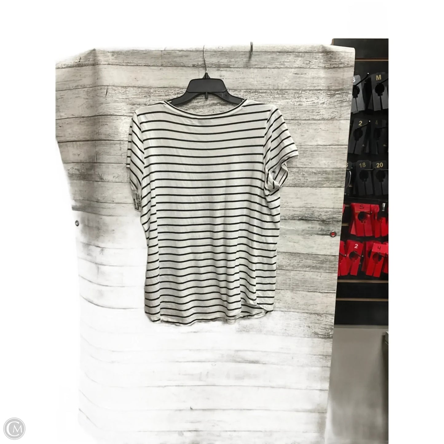 Top Short Sleeve Basic By Torrid In White, Size: M