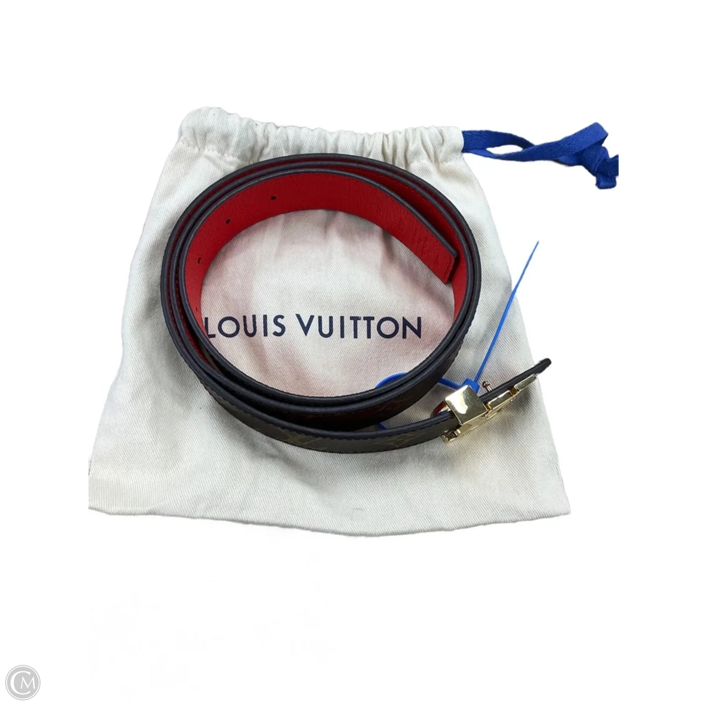 Belt Bag Luxury Designer By Louis Vuitton, Size: Medium