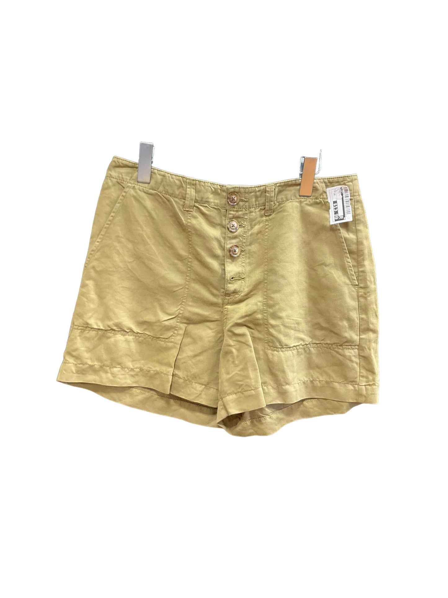 Olive Shorts Loft, Size 10