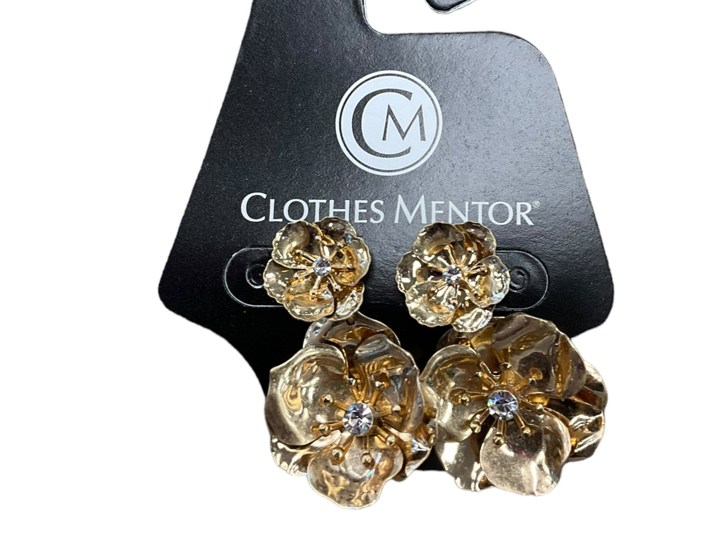 Earrings Dangle/drop By Clothes Mentor