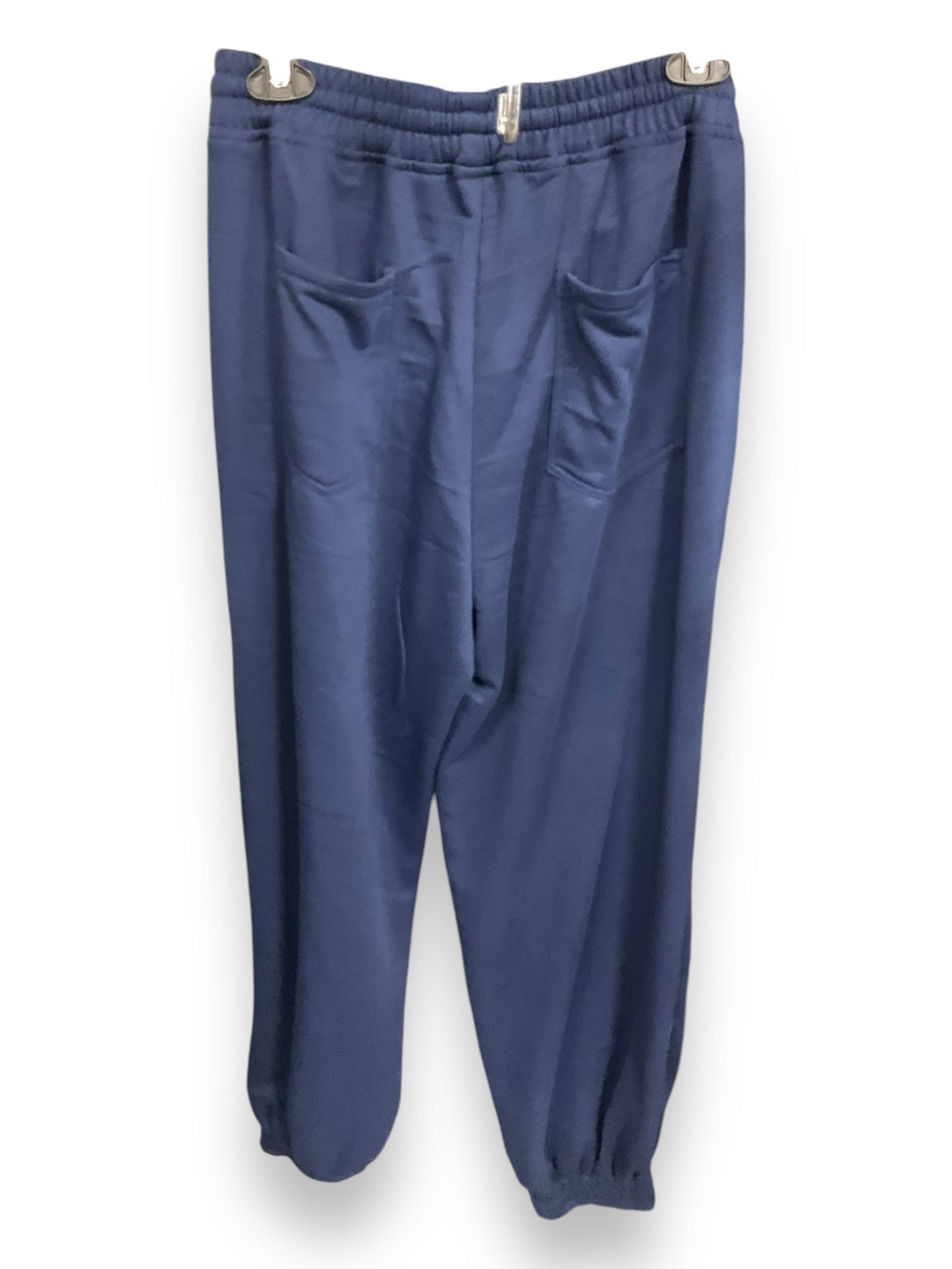 Athletic Pants By Clothes Mentor In Blue, Size: M