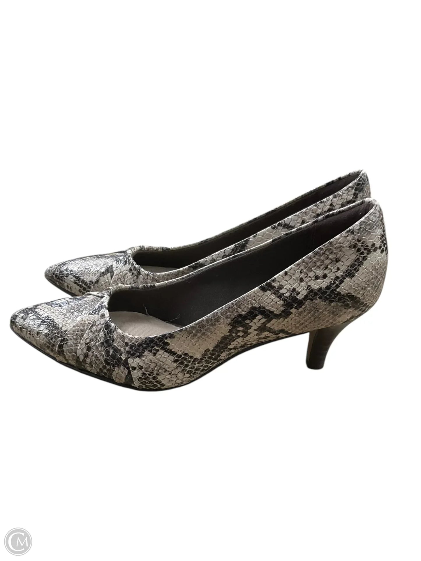 Shoes Heels Kitten By Clarks In Snakeskin Print, Size: 6.5