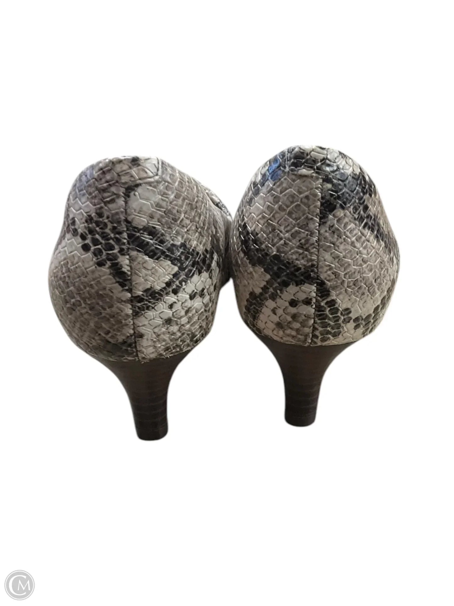 Shoes Heels Kitten By Clarks In Snakeskin Print, Size: 6.5