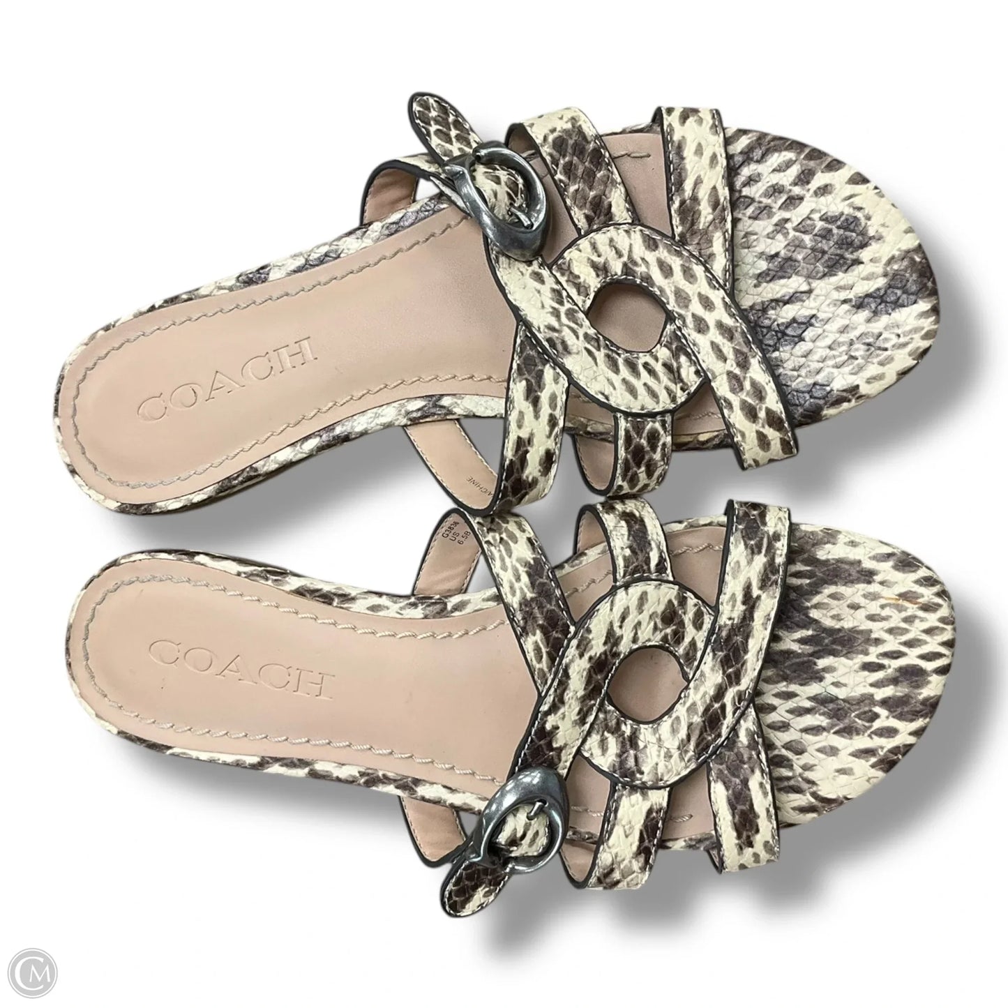 Sandals Flats By Coach In Snakeskin Print, Size: 6.5