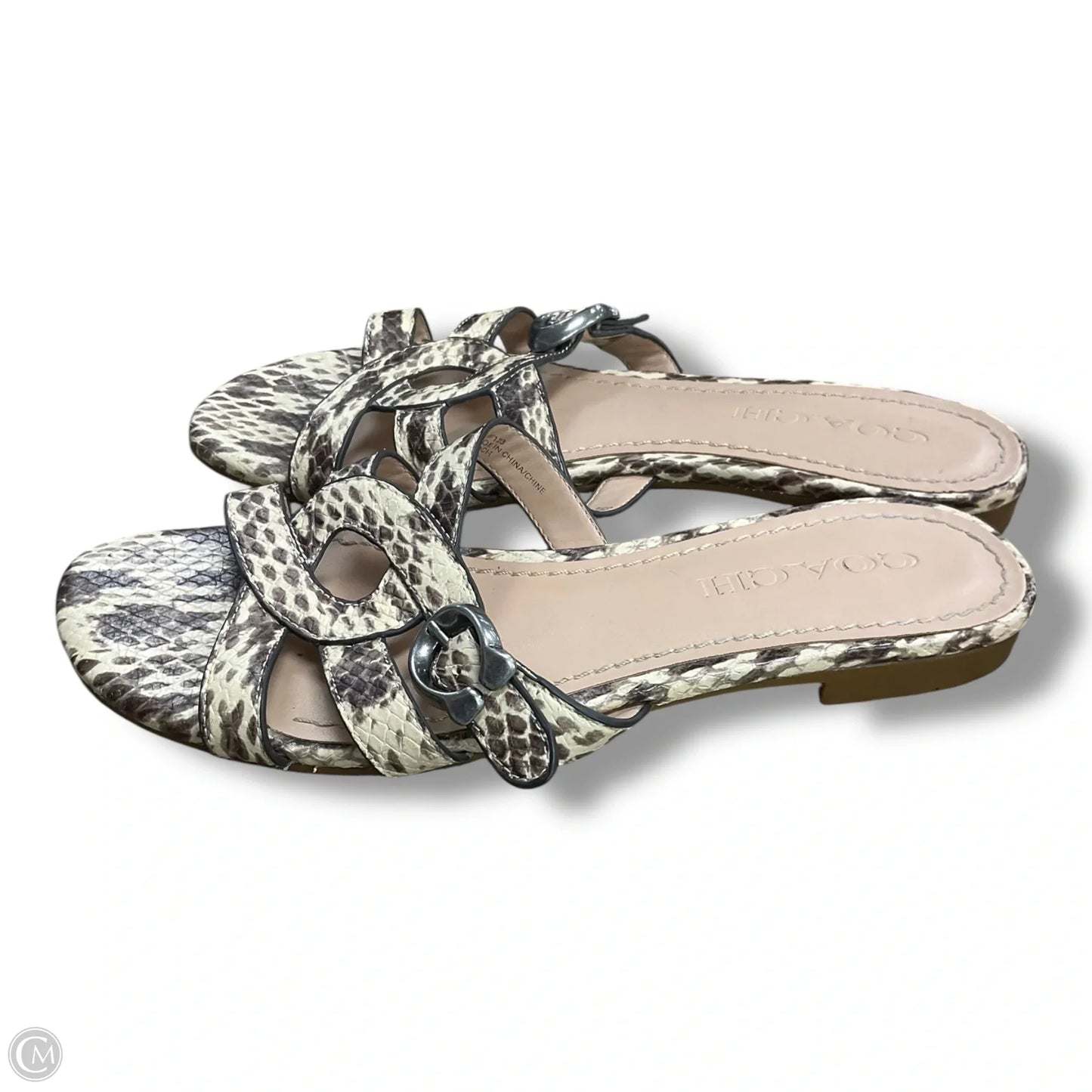 Sandals Flats By Coach In Snakeskin Print, Size: 6.5