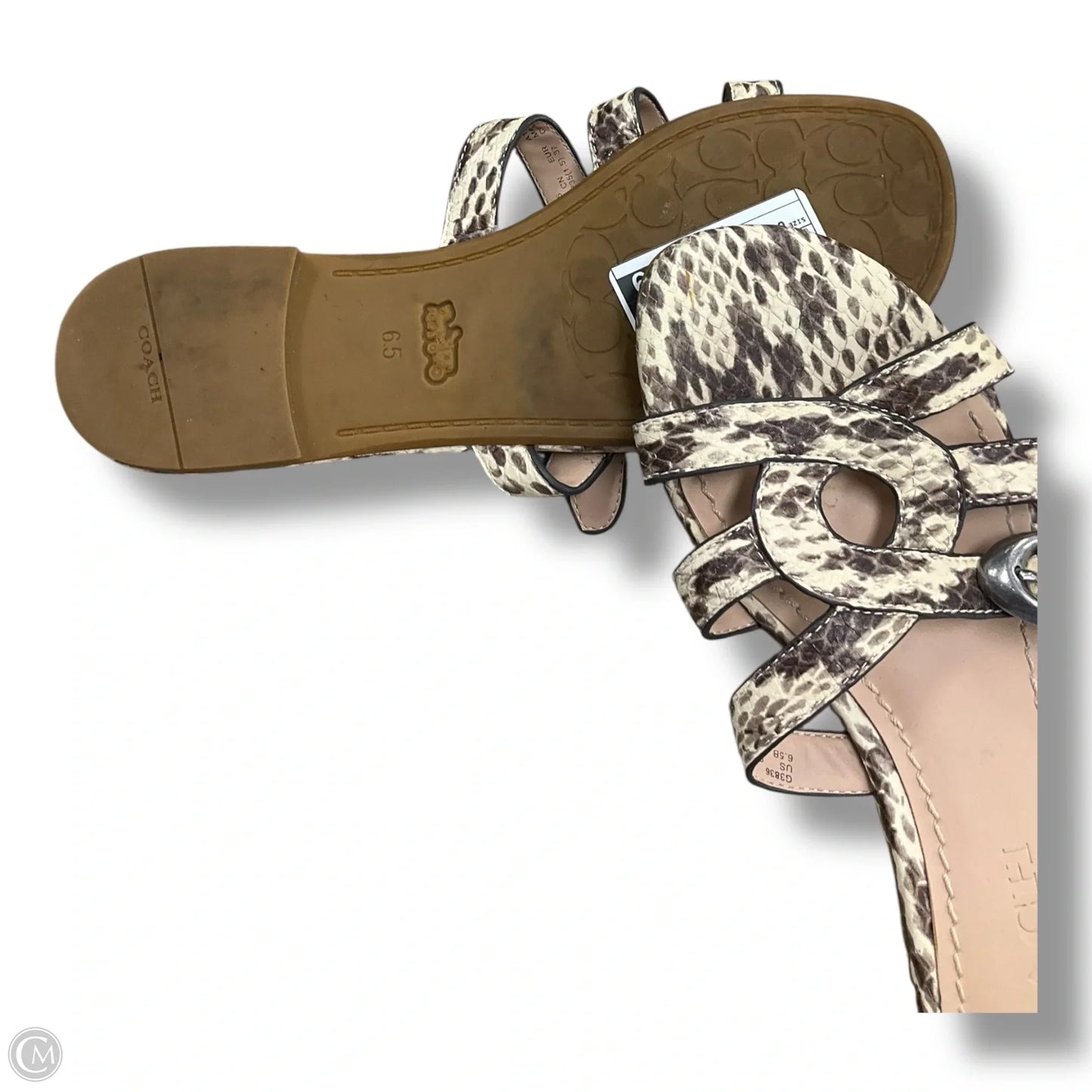 Sandals Flats By Coach In Snakeskin Print, Size: 6.5