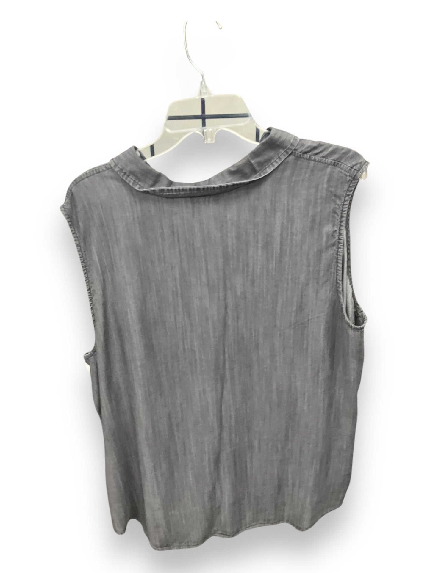 Blouse Sleeveless By Time And Tru In Grey, Size: 3x