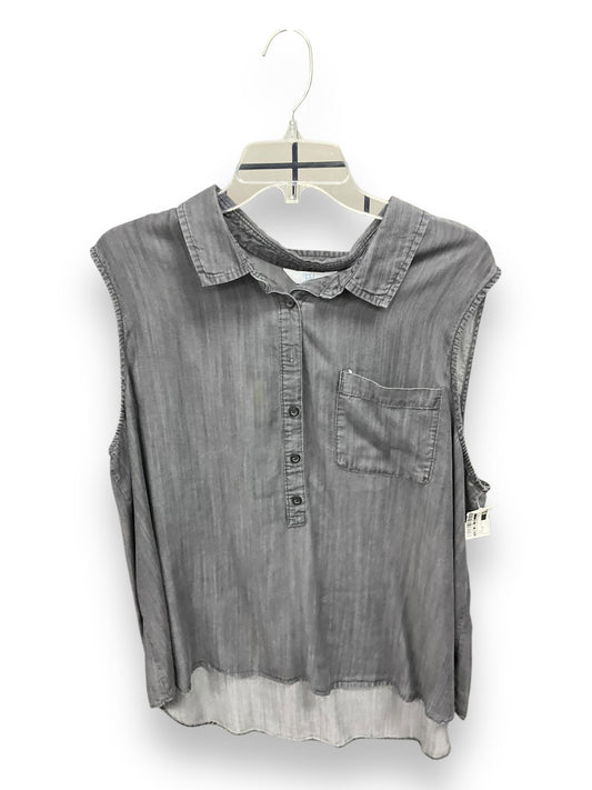 Blouse Sleeveless By Time And Tru In Grey, Size: 3x