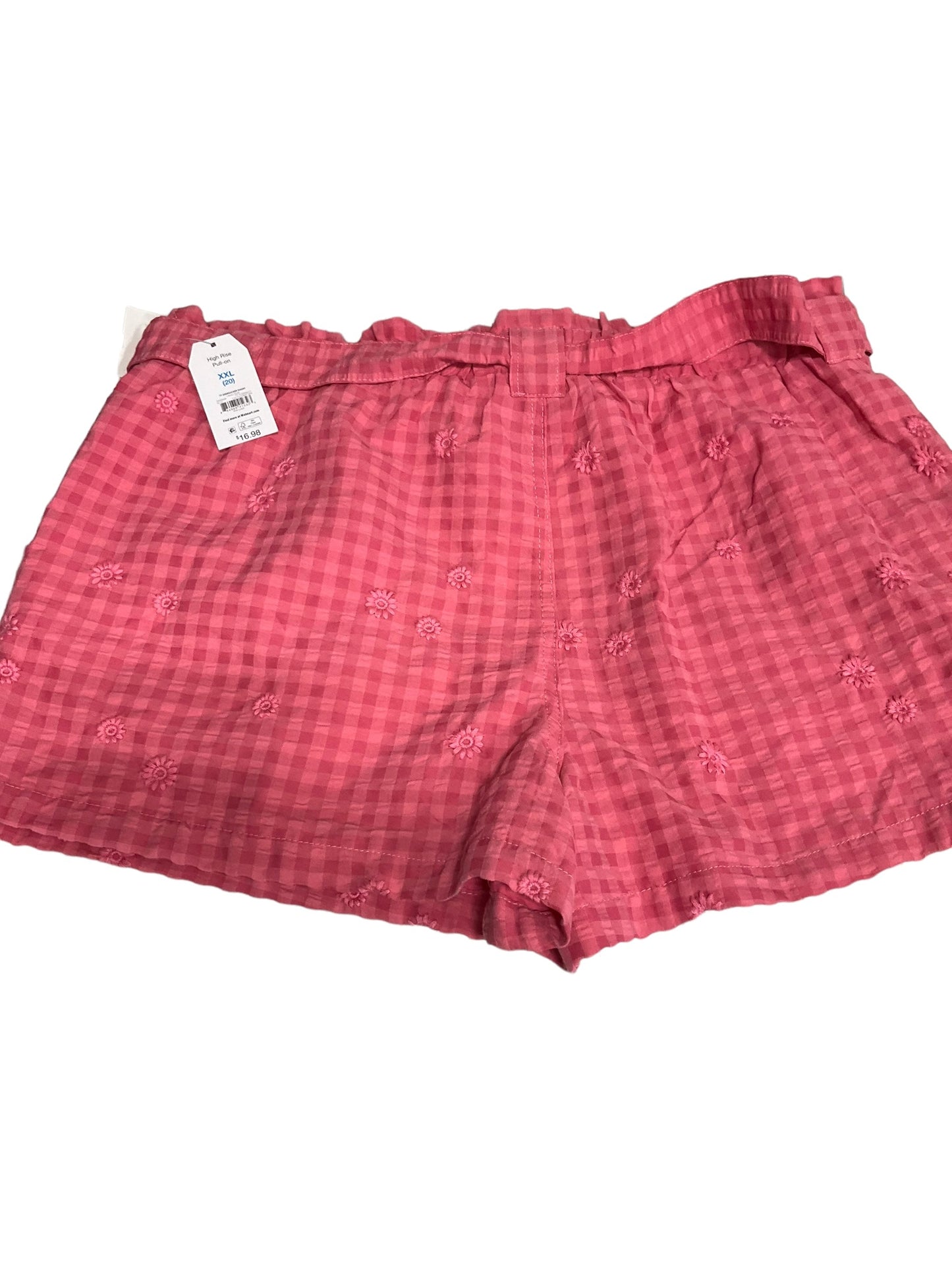 Shorts By Time And Tru  Size: 2x