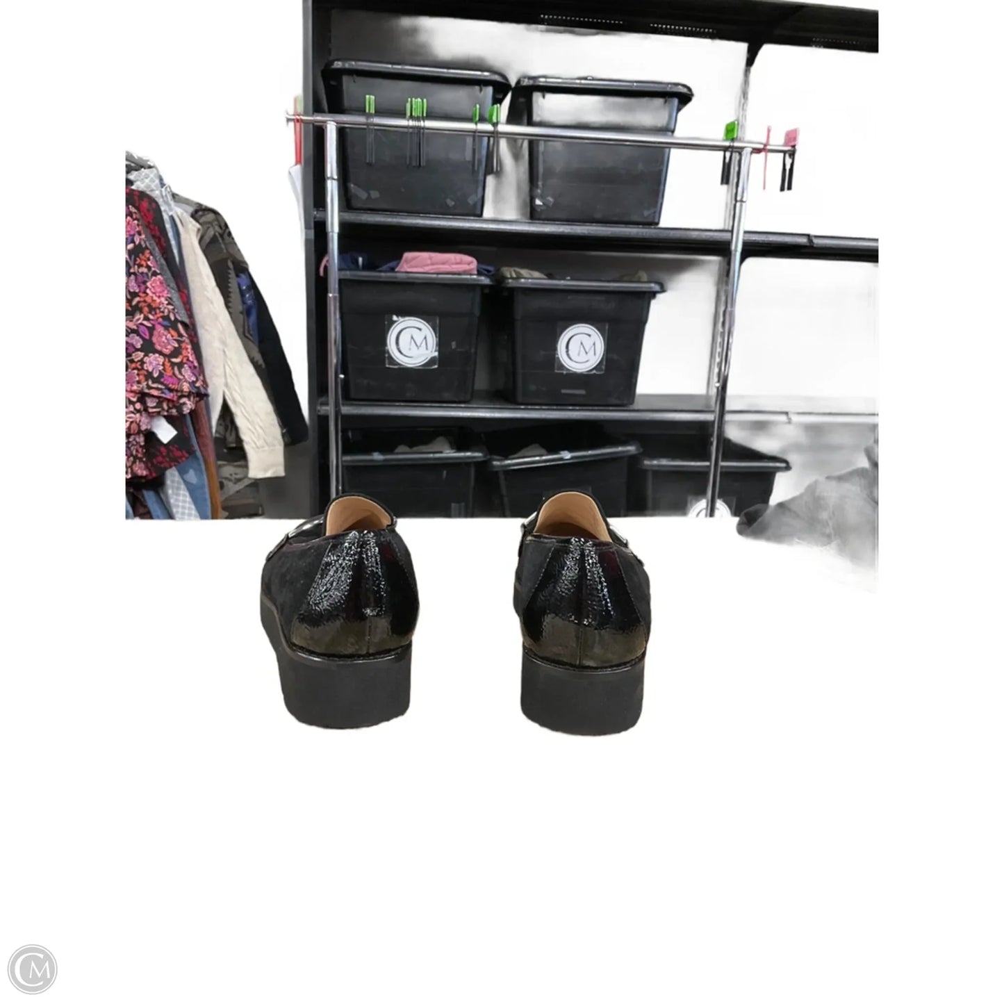 Shoes Flats By Alex Marie In Black, Size: 7