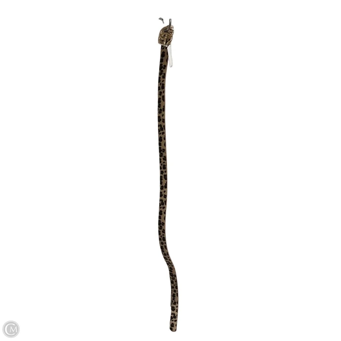 Belt By Clothes Mentor