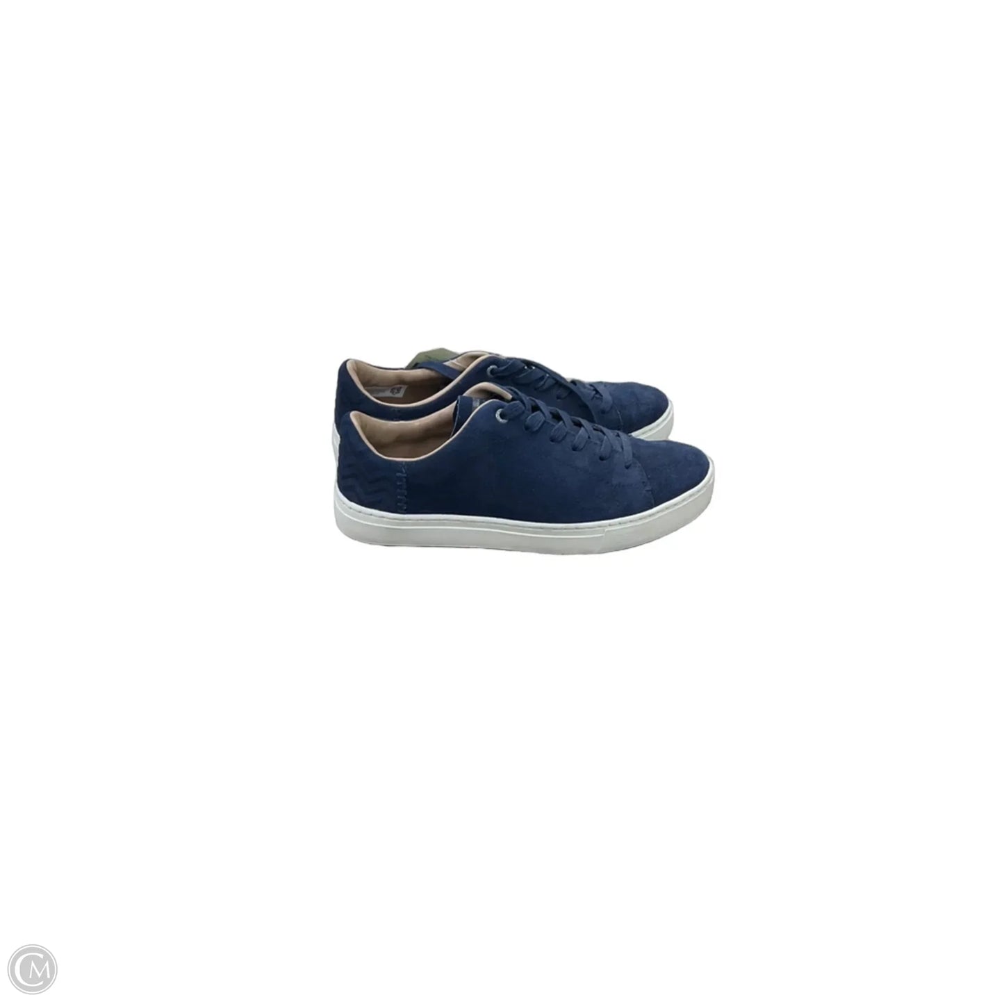 Shoes Sneakers By Toms In Navy, Size: 9