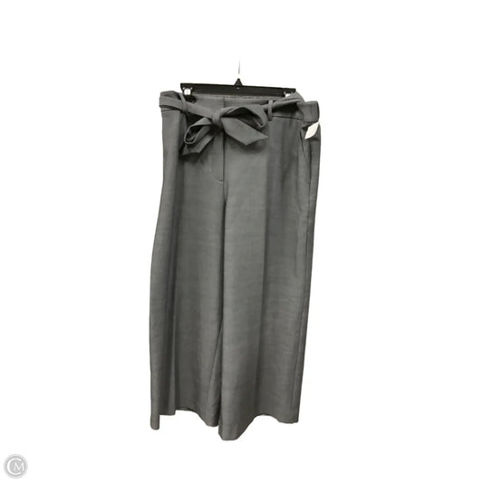 Pants Cargo & Utility By Talbots In Grey, Size: Xl